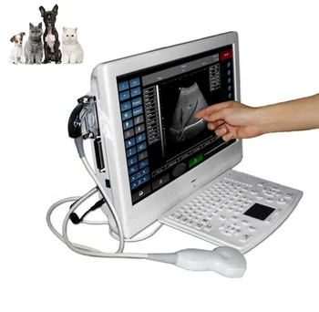 Dobra Kakovost ljubljenčka, psa, prašiča, ovce nosečnosti ultrazvok optičnega veterinarski piu ultrazvok prenosni pralni živali ultrazvok BW08-W