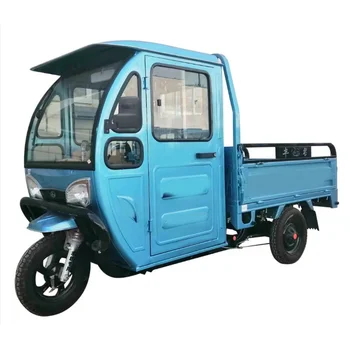 Tovarniški Trgovini Odraslih Tricikel Električna Tricikel, Zhejiang Multi Funkcijo Potnikov in Tovora Tri Kolesa Modra OEM ODM 60V Egs