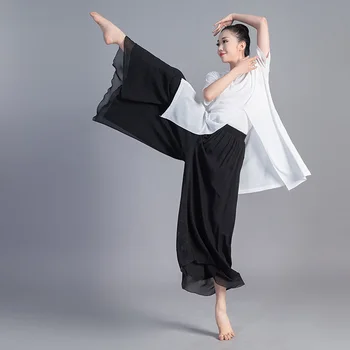 Ženske Ples Hlače Za Ženske Klasični Ples Sodobni Ples Kitajski Folk Dance Praksi Ohlapne Hlače Dolge Šifon Širok Noge Hlače